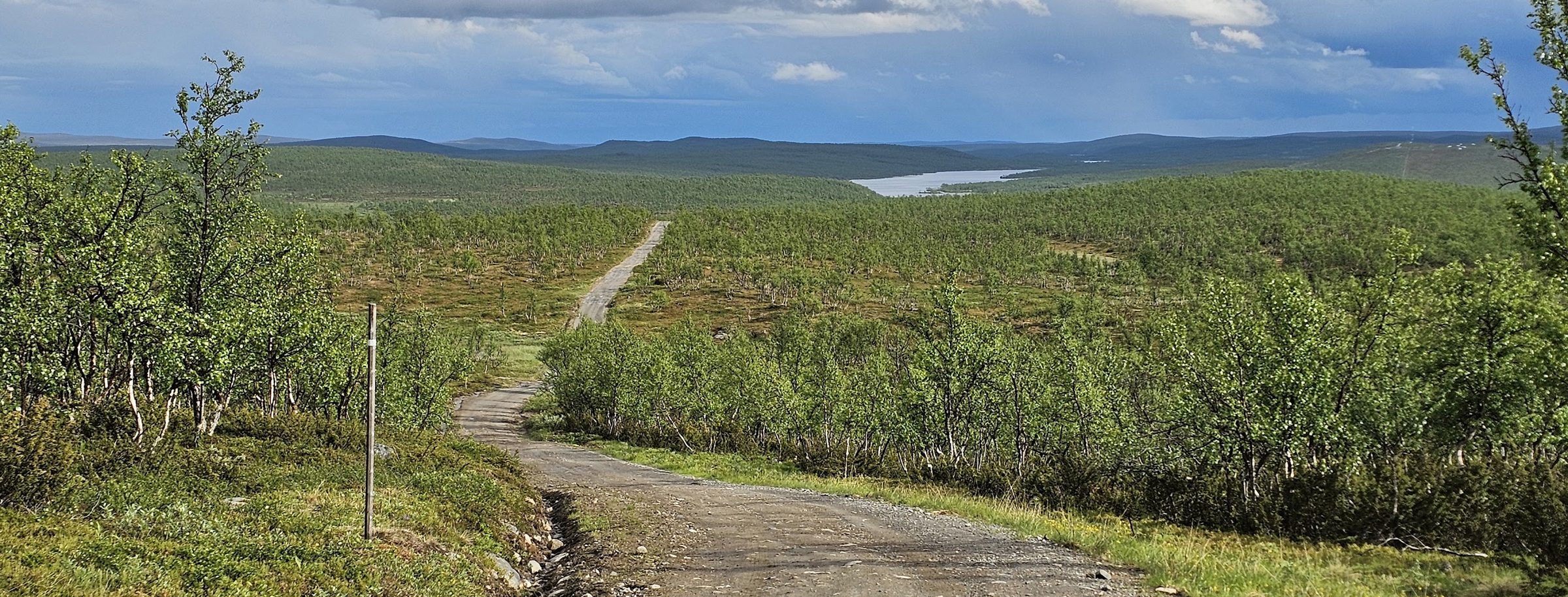 The gravel post road running downhill through low birch towards a lake, rain clouds over the hills